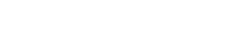 Nexavia Logo